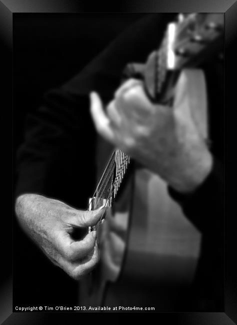 Guitar Player Framed Print by Tim O'Brien