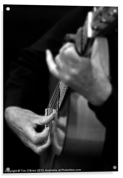 Guitar Player Acrylic by Tim O'Brien