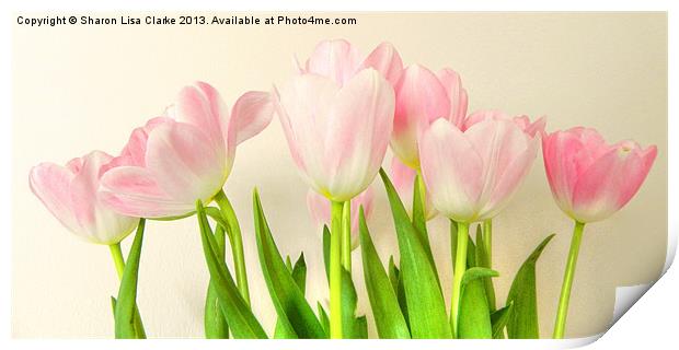 Pink Tulips Print by Sharon Lisa Clarke