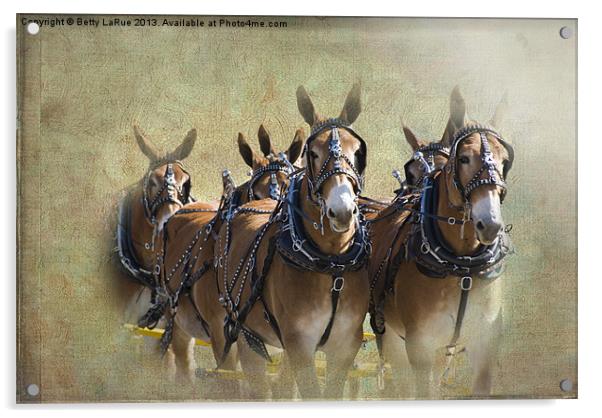 Old West Mule Train Acrylic by Betty LaRue