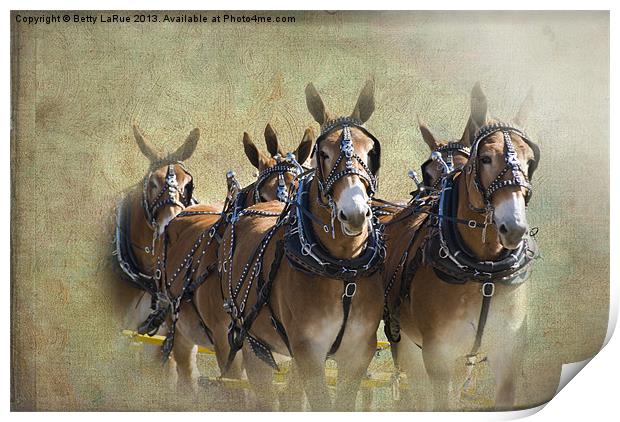 Old West Mule Train Print by Betty LaRue
