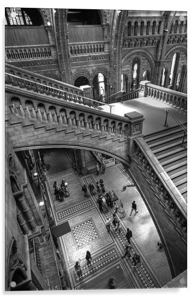 Natural History Museum, London Acrylic by Ian Rolfe