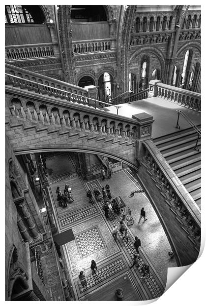 Natural History Museum, London Print by Ian Rolfe