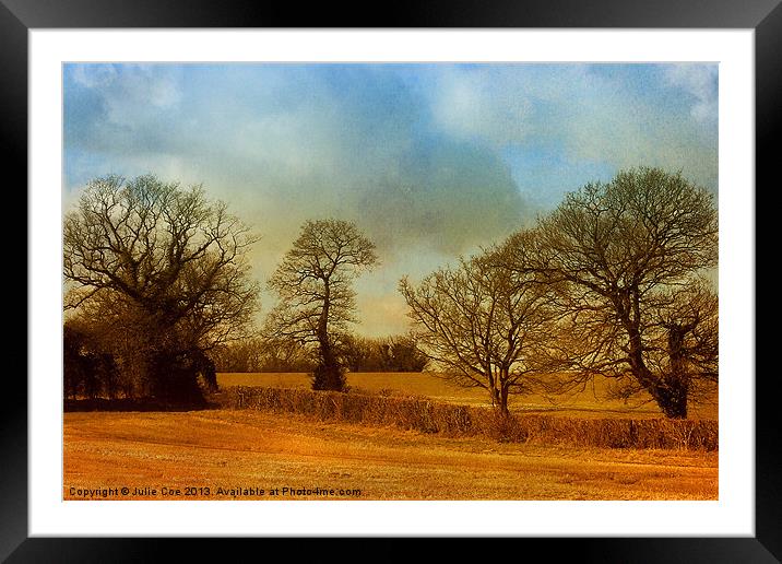 The Country Scene Framed Mounted Print by Julie Coe
