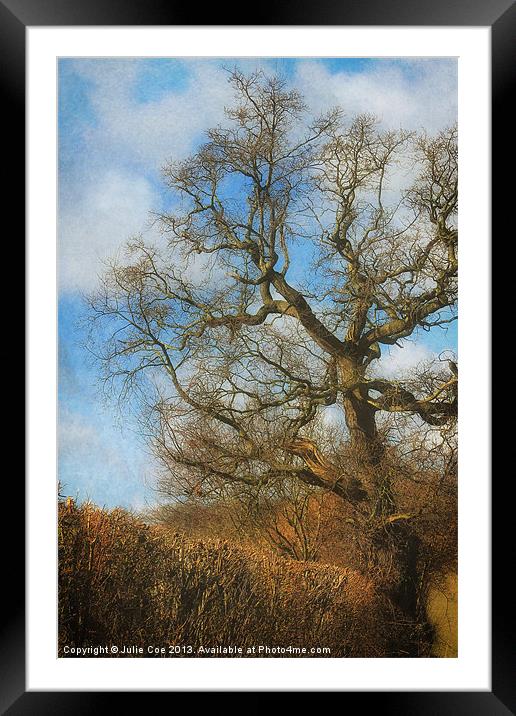 Standing Proud in Colour Framed Mounted Print by Julie Coe