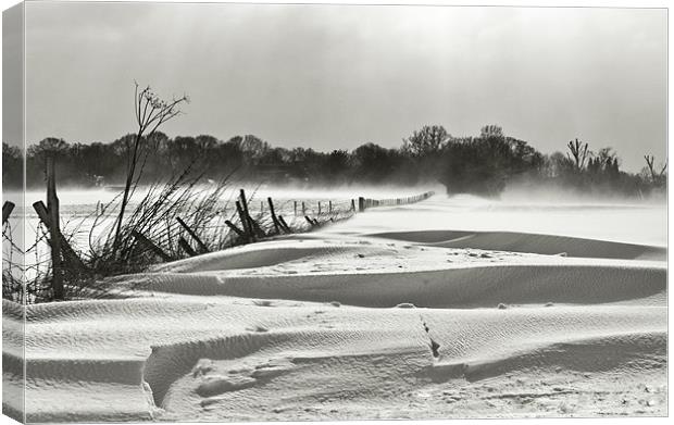 snow swept landscape Canvas Print by Dawn Cox