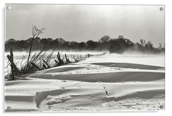 snow swept landscape Acrylic by Dawn Cox