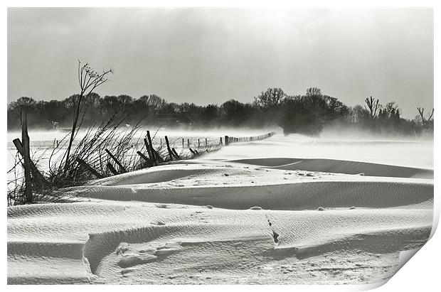 snow swept landscape Print by Dawn Cox