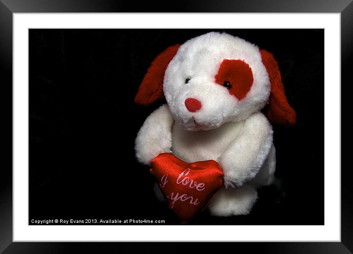 I love you Teddy bear dog Framed Mounted Print by Roy Evans