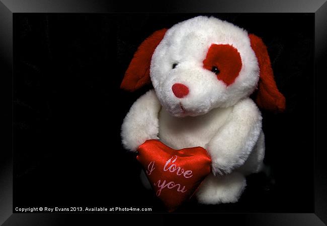 I love you Teddy bear dog Framed Print by Roy Evans