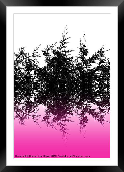 Conifer cerise Framed Mounted Print by Sharon Lisa Clarke