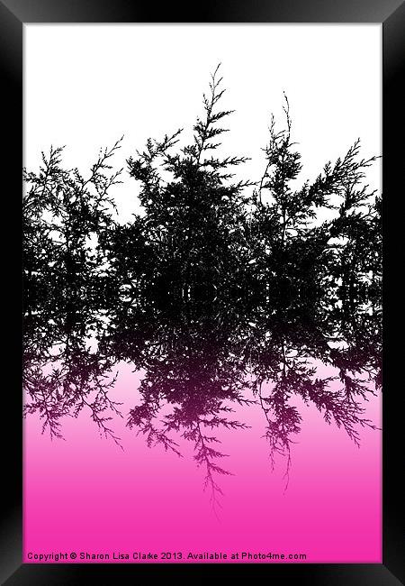 Conifer cerise Framed Print by Sharon Lisa Clarke