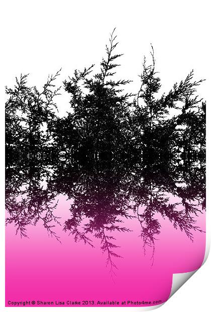 Conifer cerise Print by Sharon Lisa Clarke