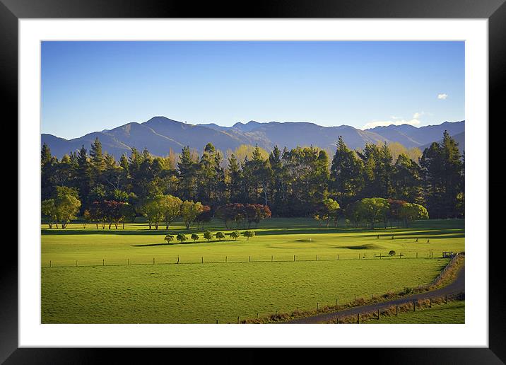 Golf Dreams Framed Mounted Print by