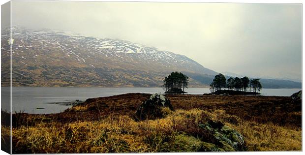 loch ossian color Canvas Print by dale rys (LP)