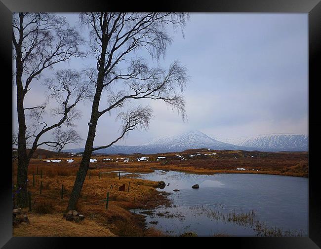 loch ossian 6 Framed Print by dale rys (LP)