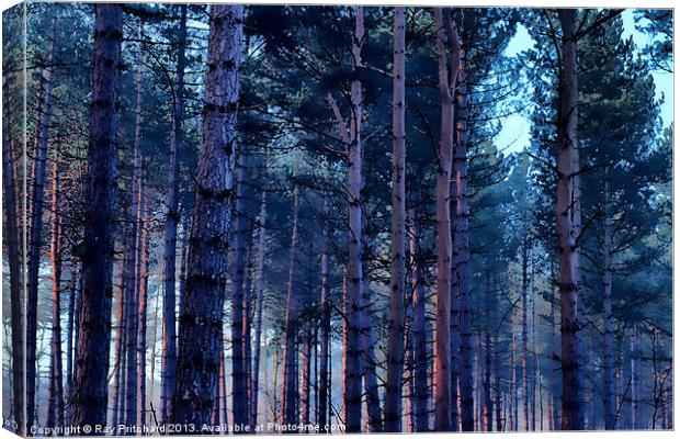 Painted Trees Canvas Print by Ray Pritchard