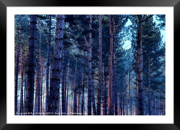 Painted Trees Framed Mounted Print by Ray Pritchard