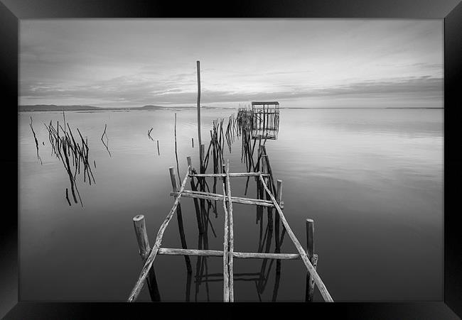 Sticks and Posts Framed Print by Dave Wragg