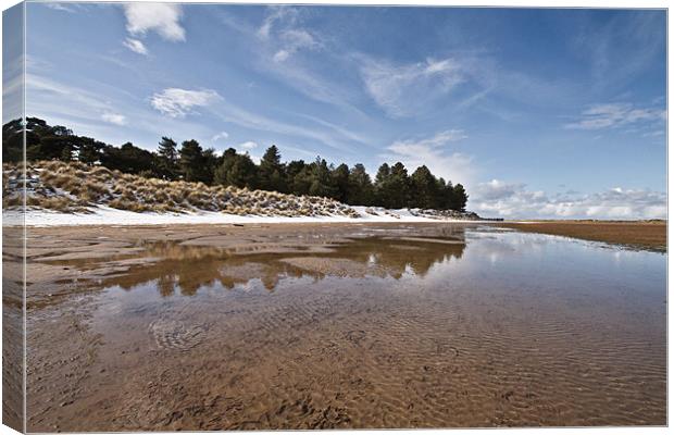 Holkham Reflections Canvas Print by Paul Macro