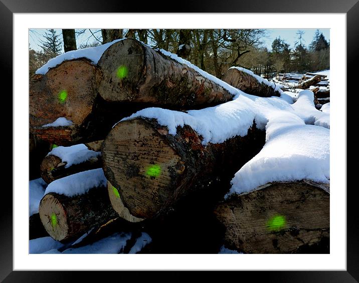the logs of winter Framed Mounted Print by dale rys (LP)