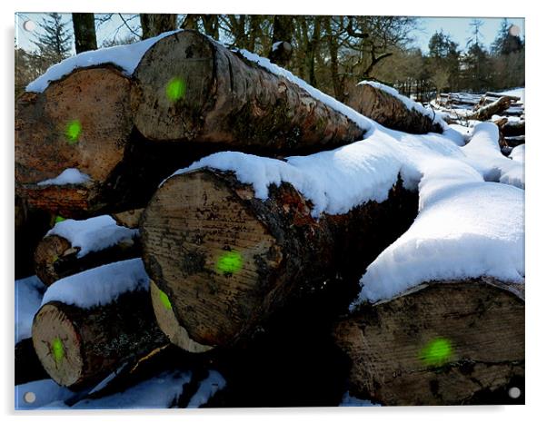 the logs of winter Acrylic by dale rys (LP)