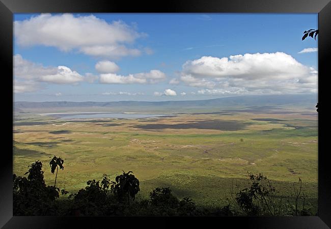 Lake Manyara Framed Print by Tony Murtagh