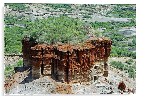 Olduvai Gorge Acrylic by Tony Murtagh