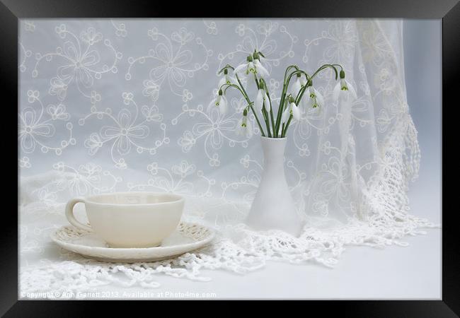 Snowdrops at Teatime Framed Print by Ann Garrett