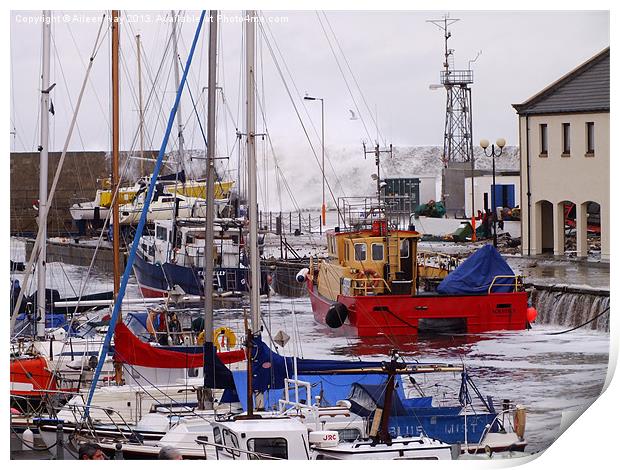 Harbour Storm Print by Aileen Hay