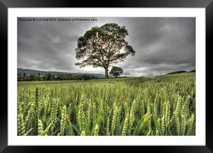 Tree Framed Mounted Print by nick hirst