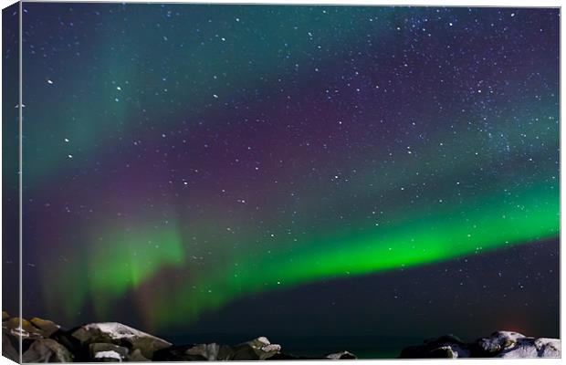 Northern lights over Laukvik Canvas Print by Thomas Schaeffer