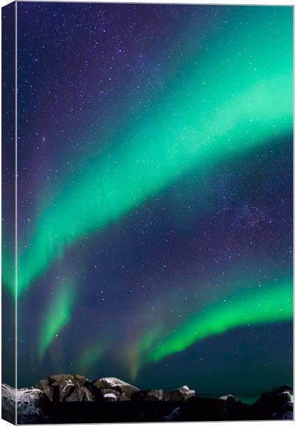Northern lights over Laukvik Canvas Print by Thomas Schaeffer