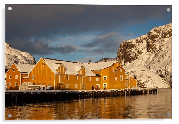 Nusfjord on Lofoten Islands Acrylic by Thomas Schaeffer