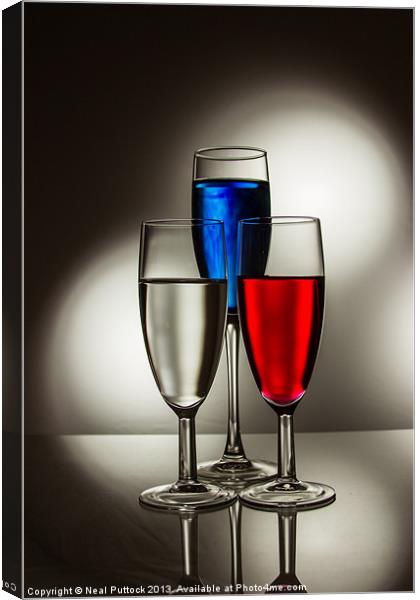 Red, White and Blue Canvas Print by Neal P