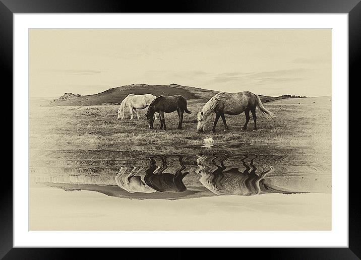 Reflection Framed Mounted Print by kevin wise