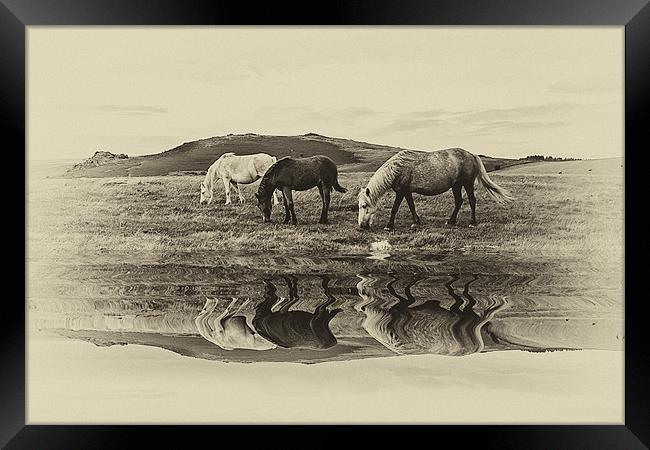 Reflection Framed Print by kevin wise