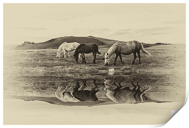 Reflection Print by kevin wise