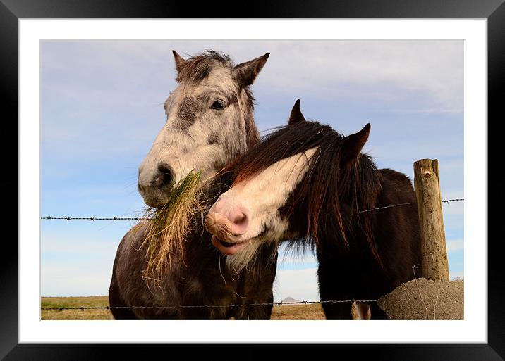 Give me some too:) Framed Mounted Print by barbara walsh