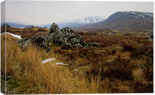 highlands Canvas Print by dale rys (LP)