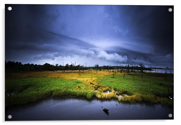 Storm over the marsh Acrylic by Kieran Brimson