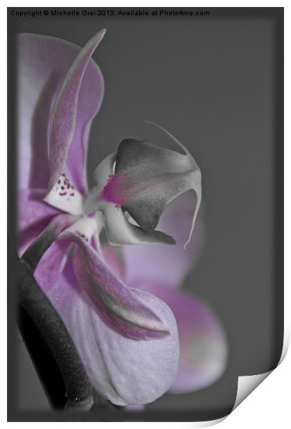 Pink Orchid Print by Michelle Orai