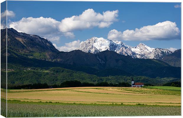 Spring in the Alps Canvas Print by Ian Middleton