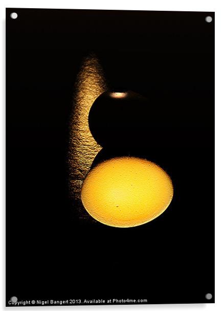 Egg Acrylic by Nigel Bangert