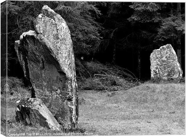 Standing Stones at Black Park Canvas Print by Tim O'Brien