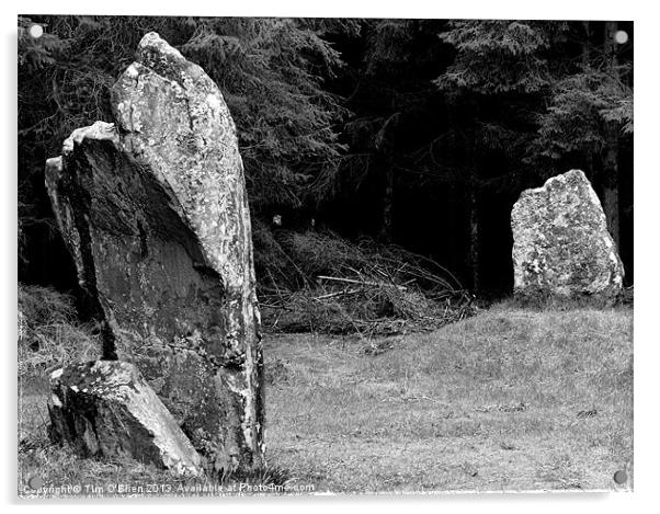 Standing Stones at Black Park Acrylic by Tim O'Brien