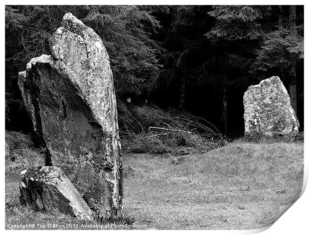 Standing Stones at Black Park Print by Tim O'Brien