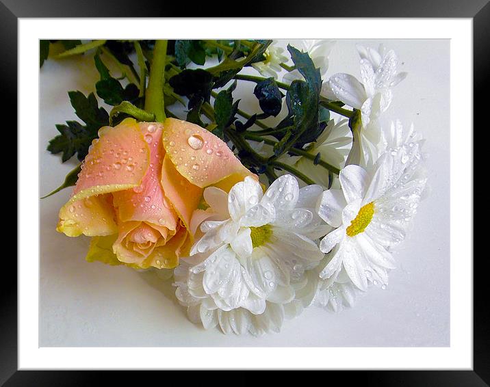 beautiful flowers Framed Mounted Print by elvira ladocki