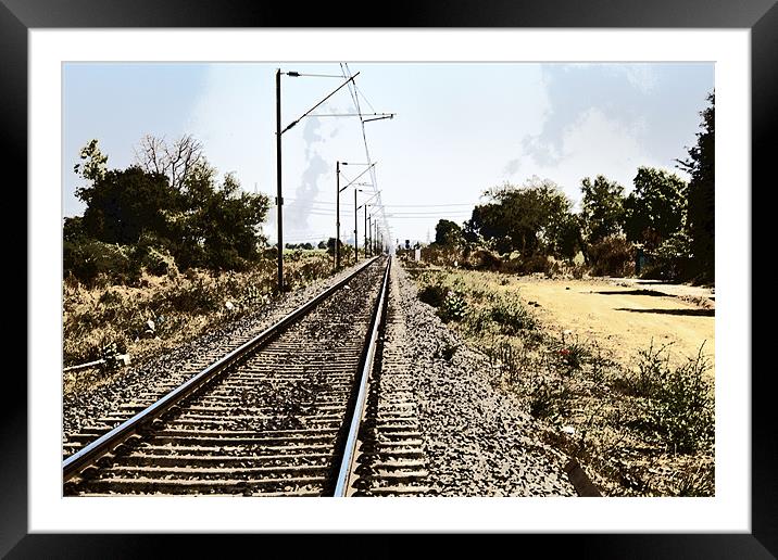 Track through Rural India Framed Mounted Print by Arfabita  