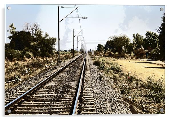 Track through Rural India Acrylic by Arfabita  